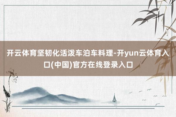 开云体育坚韧化活泼车泊车料理-开yun云体育入口(中国)官方在线登录入口