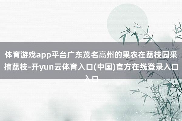 体育游戏app平台广东茂名高州的果农在荔枝园采摘荔枝-开yun云体育入口(中国)官方在线登录入口