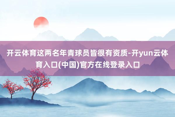 开云体育这两名年青球员皆很有资质-开yun云体育入口(中国)官方在线登录入口